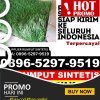 Agen Rumput Palsu Kampak.jpg