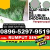 Distributor Rumput Plastik Kedung Banteng.jpg