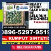 Penjual Rumput Palsu Bonjol.jpg