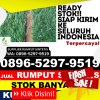 Pusat Rumput Plastik Langgudu.jpg