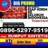 Distributor Rumput Imitasi Sungai Geringging.jpg