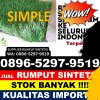 Distributor Rumput Plastik Kelumpang Selatan.jpg