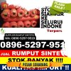 Distributor Rumput Imitasi Sungkai Selatan.jpg