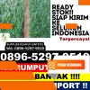 Grosir Rumput Imitasi Medan Sunggal.jpg