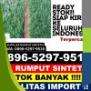 Distributor Rumput Plastik Kepulauan Karimata.jpg