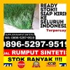 Jual Rumput Palsu Geumpang.jpg