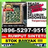 Penjual Rumput Palsu Bukit Malintang.jpg