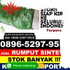 Jual Rumput Sintetis Kabupaten Asahan.jpg