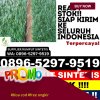 Grosir Rumput Imitasi Mentaya Hilir Selatan.jpg