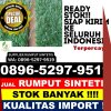 Distributor Rumput Plastik Kiaracondong.jpg