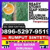 Gudang Rumput Sintetis Kota Bima.jpg