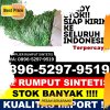 Jual Rumput Sintetis Kabupaten Boyolali.jpg