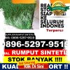 Grosir Rumput Plastik Kabupaten Kapuas Hulu.jpg