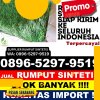 Jual Rumput Palsu Gunung Raya.jpg