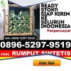 Penjual Rumput Palsu Candi Laras Utara.jpg