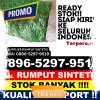 Jual Rumput Sintetis Kabupaten Jember.jpg