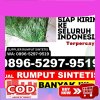 Grosir Rumput Plastik Kabupaten Lamandau.jpg