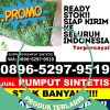 Agen Rumput Palsu Kelekar.jpg