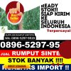 Gudang Rumput Sintetis Kota Serang.jpg