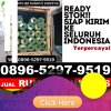 Penjual Rumput Palsu Ciampea.jpg