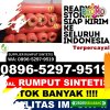 Agen Rumput Plastik Talang Padang.jpg