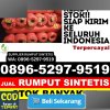 Distributor Rumput Imitasi Tanjung Balai Selatan.jpg