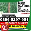 Distributor Rumput Plastik Kota Mataram.jpg