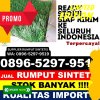 Jual Rumput Palsu Ilir Barat I.jpg