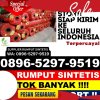 Penjual Rumput Plastik Patrol.jpg