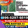 Agen Rumput Palsu Kesu.jpg