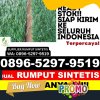 Distributor Rumput Plastik Kota Sukabumi.jpg