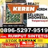 Penjual Rumput Palsu Cikedung.jpg