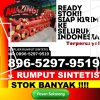 Penjual Rumput Plastik Pekalongan Timur.jpg