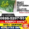 Jual Rumput Palsu Jatinom.jpg