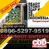 Penjual Rumput Palsu Cimahi Utara.jpg