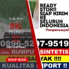 Jual Rumput Sintetis Kabupaten Sidoarjo.jpg