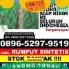 Distributor Rumput Plastik Kuala Mandor B.jpg