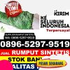 Jual Rumput Palsu Jembrana.jpg