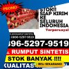 Penjual Rumput Plastik Penengahan.jpg