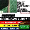 Pusat Rumput Plastik Margorejo.jpg