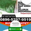 Grosir Rumput Plastik Kalibening.jpg