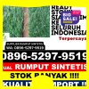 Agen Rumput Palsu Kota Kupang.jpg