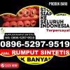 Distributor Rumput Imitasi Tembuku.jpg