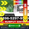 Jual Rumput Palsu Julok.jpg