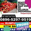 Penjual Rumput Plastik Petungkriono.jpg