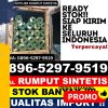 Penjual Rumput Palsu Cot Girek.jpg