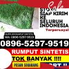 Jual Rumput Sintetis Kali Deres.jpg