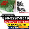 Jual Rumput Palsu Kabupaten Bantaeng.jpg