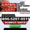 Agen Rumput Plastik Teluk Gelam.jpg