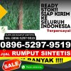 Agen Rumput Palsu Kotarih.jpg